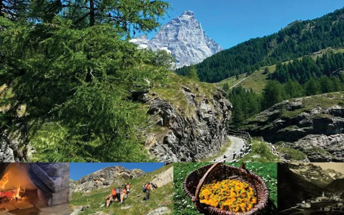 SUI SENTIERI DEL FRANCOPROVENZALE
